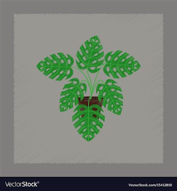 Flat shading style plant monstera vector image