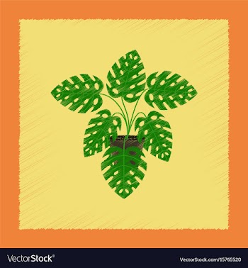 Flat shading style plant monstera vector image