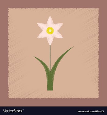 Flat shading style plant Narcissus vector image