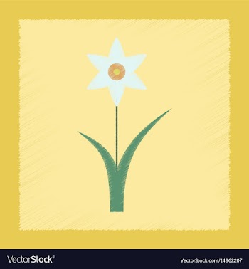 Flat shading style plant narcissus vector image