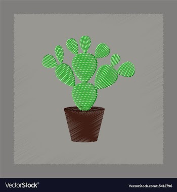 Flat shading style plant opuntia vector image