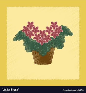 Flat shading style plant pelargonium vector image