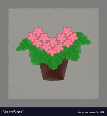 Flat shading style plant pelargonium vector image