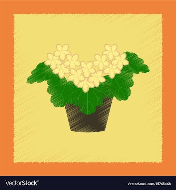 Flat shading style plant pelargonium vector image