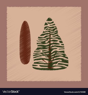 Flat shading style plant Picea vector image