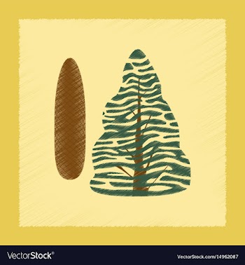 Flat shading style plant picea vector image