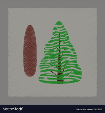 Flat shading style plant picea vector image