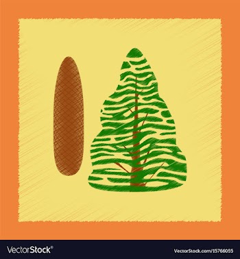 Flat shading style plant picea vector image