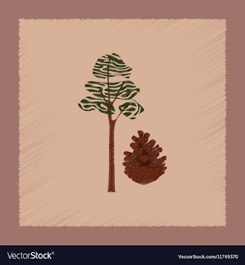 Flat shading style plant Pinus vector image