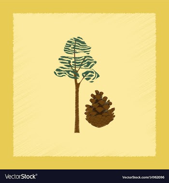 Flat shading style plant pinus vector image