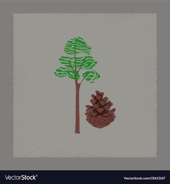 Flat shading style plant pinus vector image