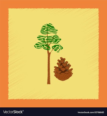 Flat shading style plant pinus vector image