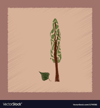 Flat shading style plant Populus vector image