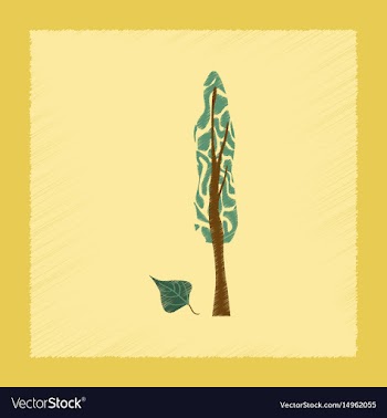 Flat shading style plant populus vector image