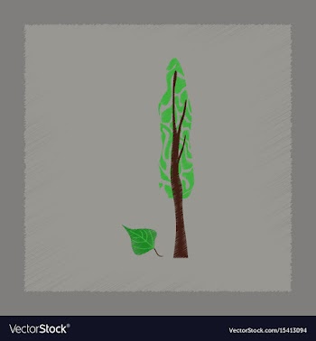 Flat shading style plant populus vector image