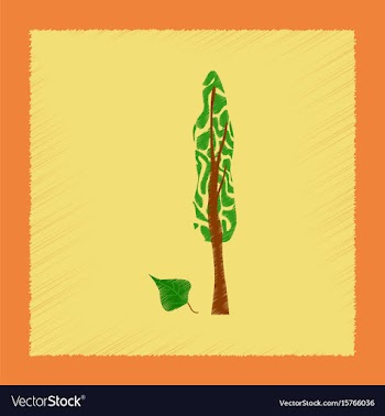 Flat shading style plant populus vector image