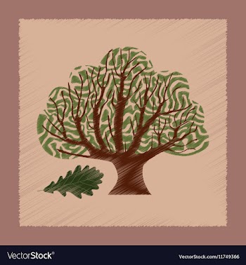 Flat shading style plant Quercus vector image