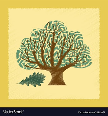 Flat shading style plant quercus vector image