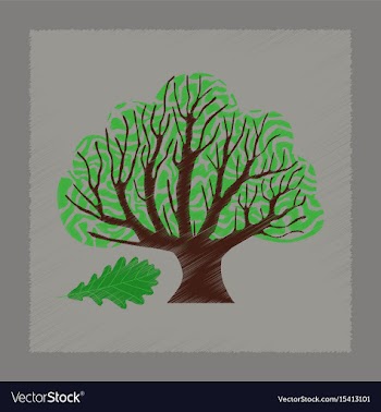 Flat shading style plant quercus vector image