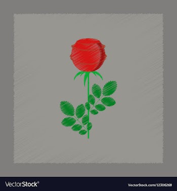 Flat shading style plant rosa vector image