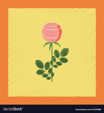 Flat shading style plant rosa vector image