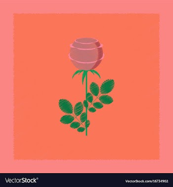 Flat shading style plant rosa vector image
