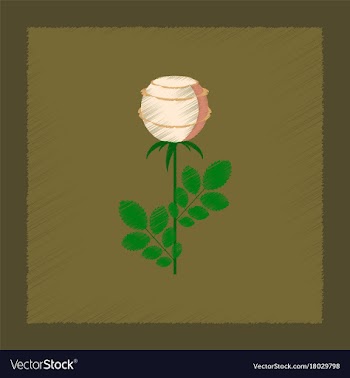 Flat shading style plant rosa vector image