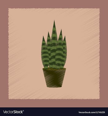 Flat shading style plant Sansevieria vector image