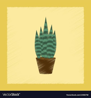 Flat shading style plant sansevieria vector image