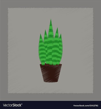Flat shading style plant sansevieria vector image