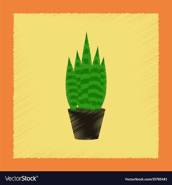Flat shading style plant sansevieria vector image