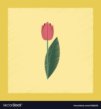 Flat shading style plant tulipa vector image