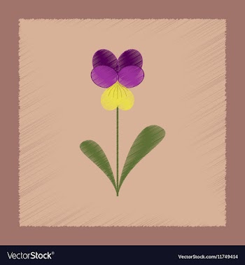 Flat shading style plant Viola vector image