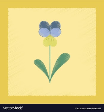 Flat shading style plant viola vector image