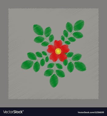 Flat shading style rosa majalis vector image