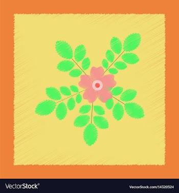 Flat shading style rosa majalis vector image
