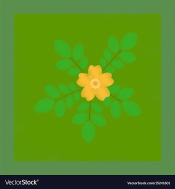 Flat shading style rosa majalis vector image