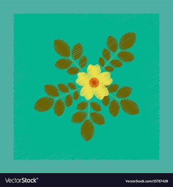 Flat shading style rosa majalis vector image