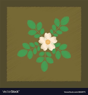 Flat shading style rosa majalis vector image