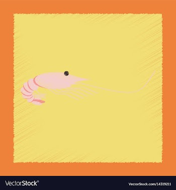 Flat shading style sea shrimp vector image