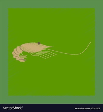 Flat shading style sea shrimp vector image