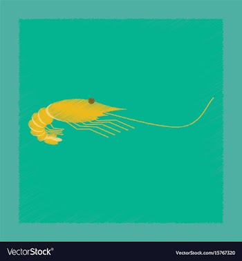 Flat shading style sea shrimp vector image