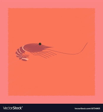 Flat shading style sea shrimp vector image