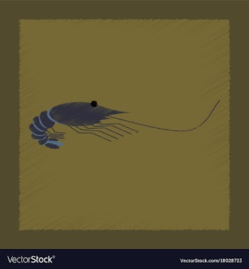 Flat shading style sea shrimp vector image