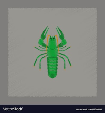 Flat shading style seafood lobster vector image
