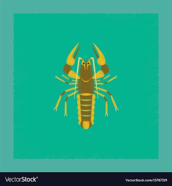 Flat shading style seafood lobster vector image