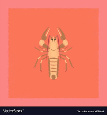 Flat shading style seafood lobster vector image