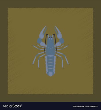 Flat shading style seafood lobster vector image