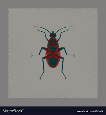Flat shading style soldier bug vector image