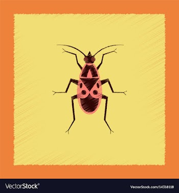 Flat shading style soldier bug vector image